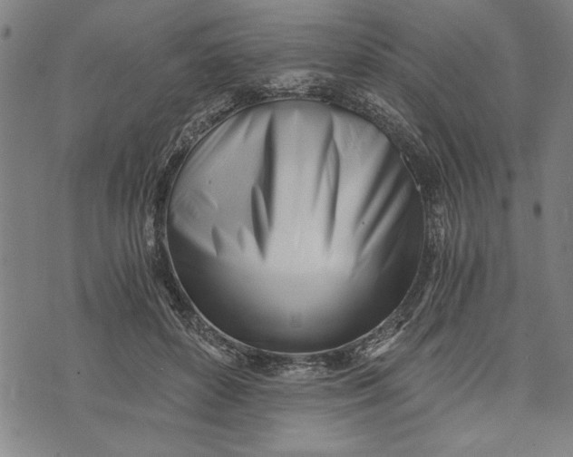 X0000073720504200608241235