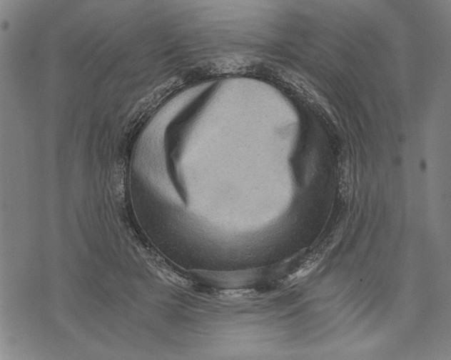 X0000073720505200608241235