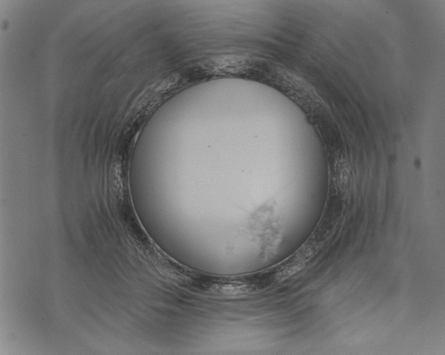 X0000073720506200608241235