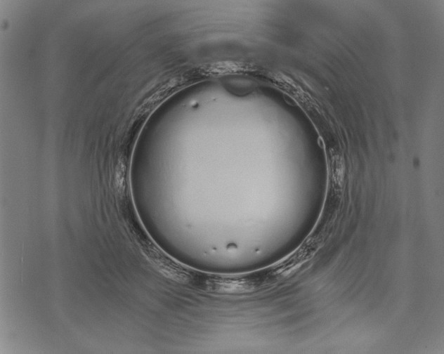 X0000073720507200608241235