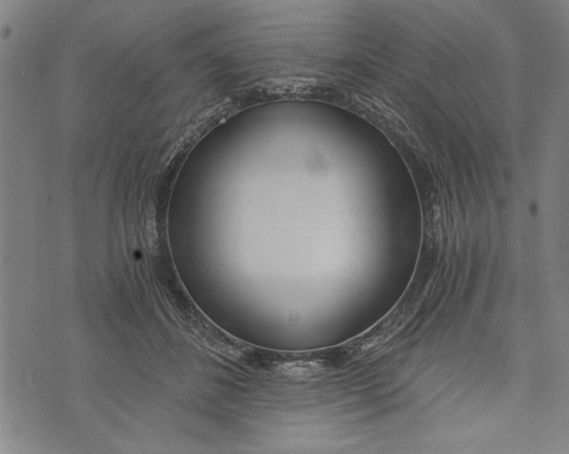 X0000073720508200608241235