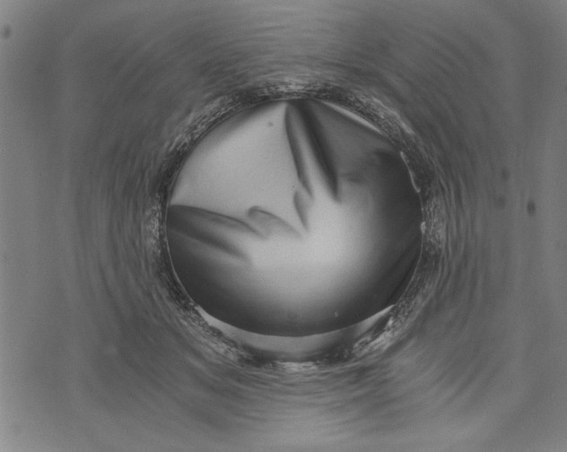 X0000073720509200608241235