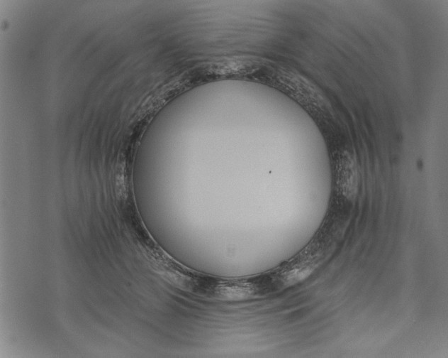 X0000073720510200608241235