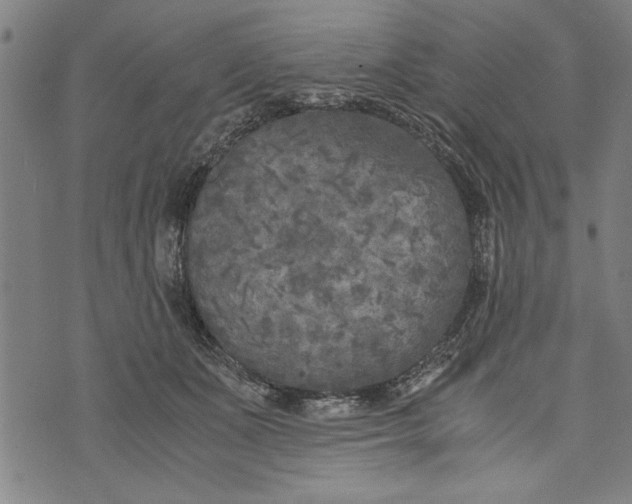 X0000073720511200608241235