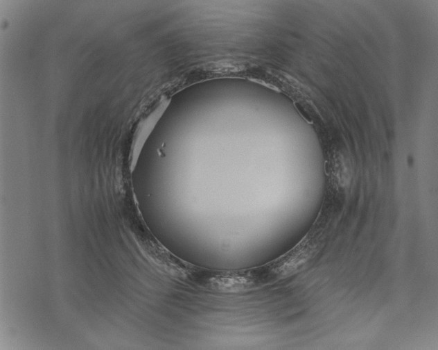 X0000073720512200608241235