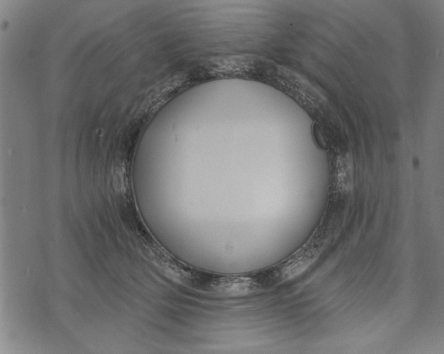 X0000073720514200608241235