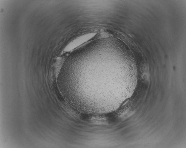 X0000073720515200608241235