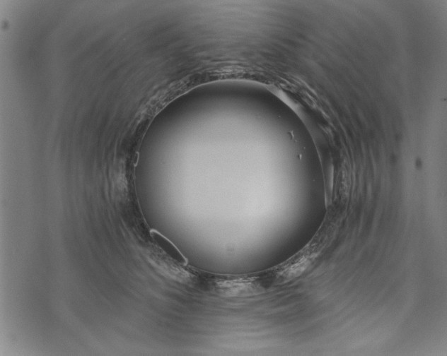 X0000073720516200608241235