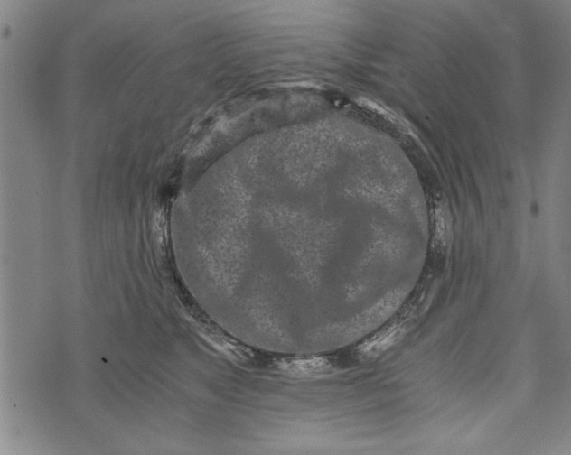 X0000073720517200608241235