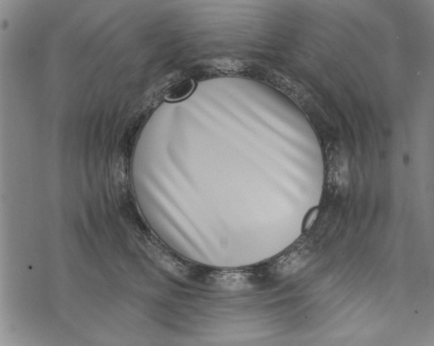 X0000073720518200608241235