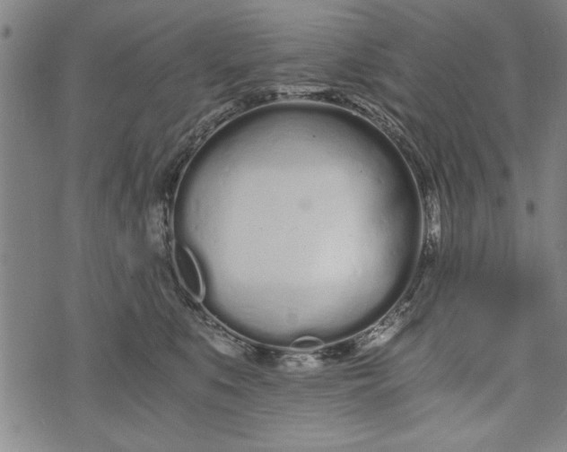 X0000073720519200608241235