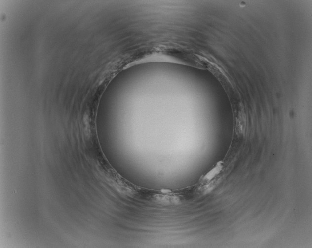 X0000073720520200608241235