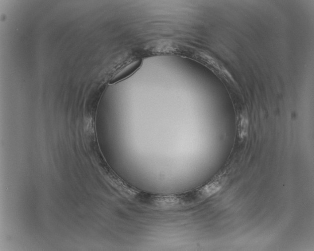 X0000073720521200608241235