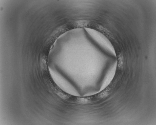 X0000073720522200608241235