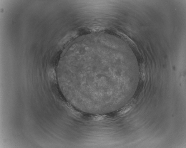 X0000073720523200608241235