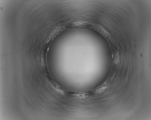 X0000073720524200608241235