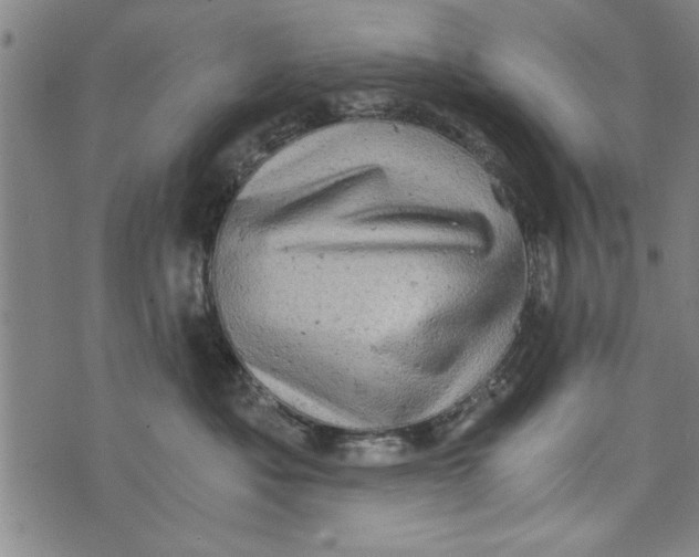 X0000073720525200608241235