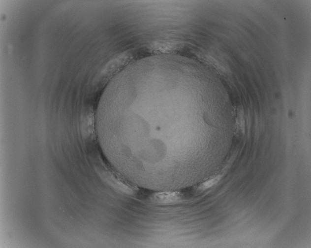 X0000073720526200608241235