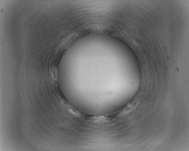 X0000073720528200608241235