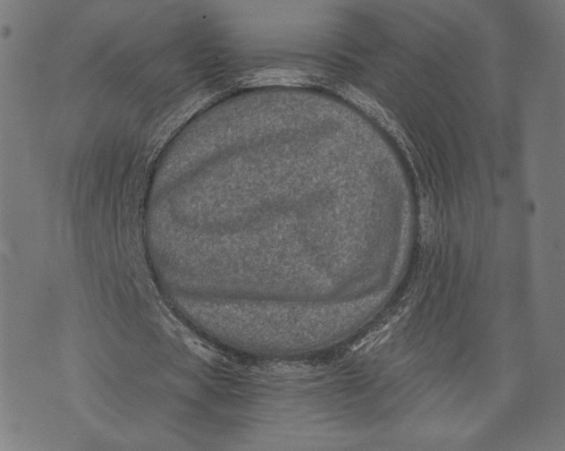 X0000073720529200608241234