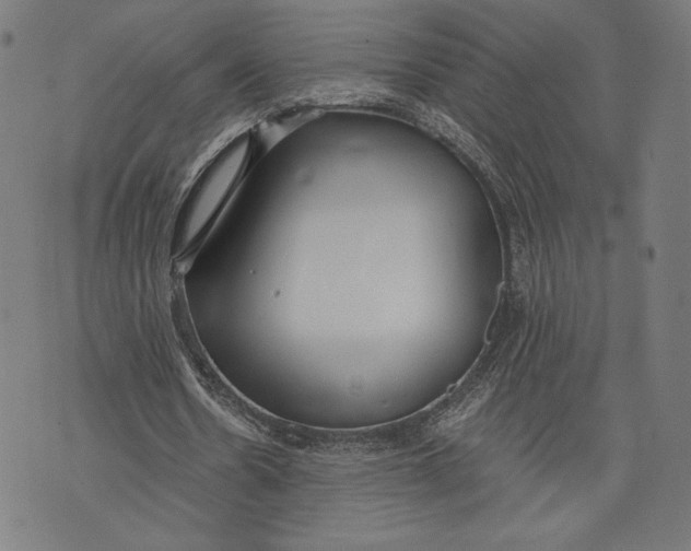 X0000073720530200608241234