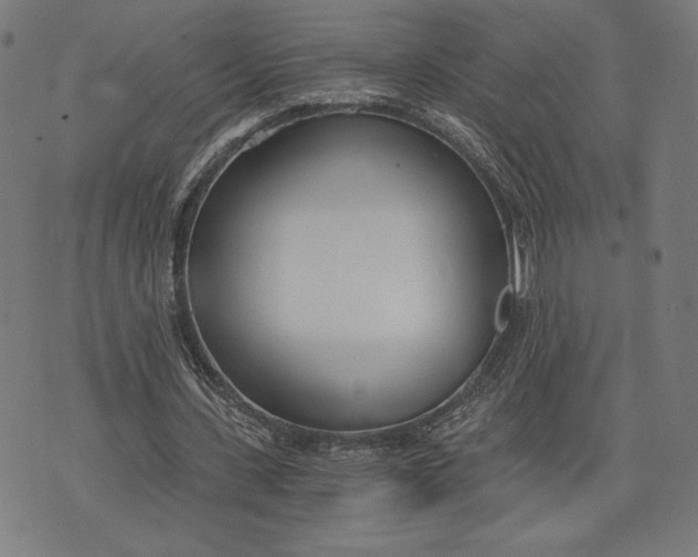 X0000073720531200608241234