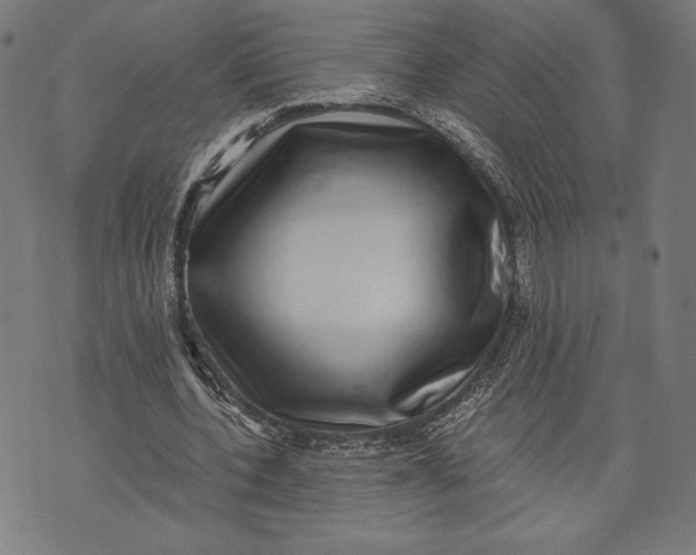 X0000073720532200608241234