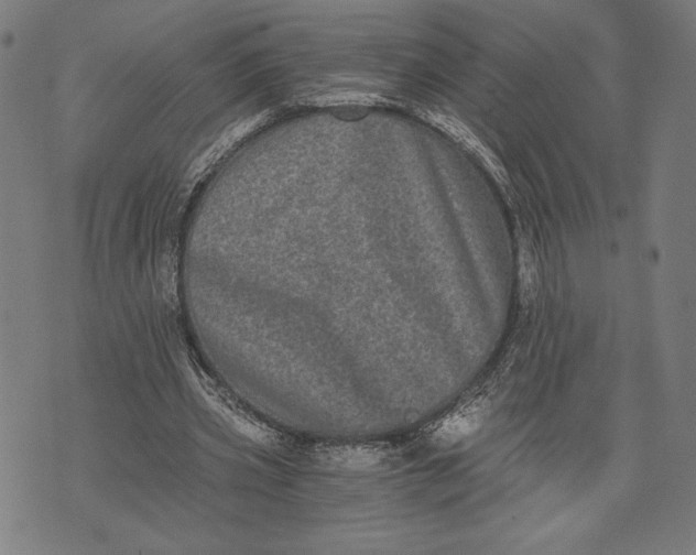 X0000073720533200608241234