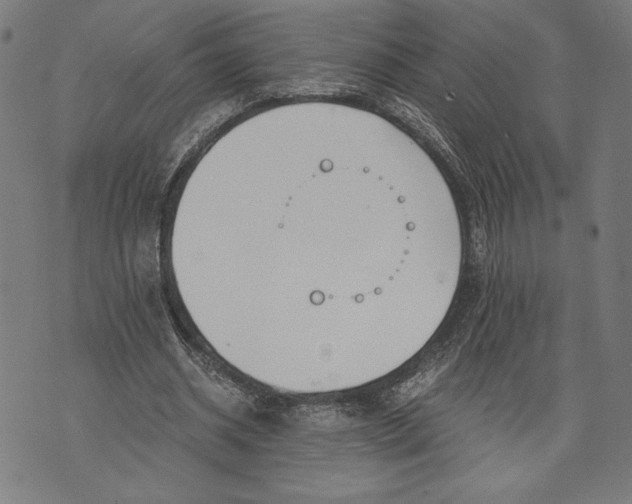 X0000073720534200608241234