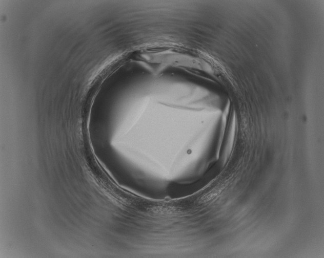 X0000073720535200608241234