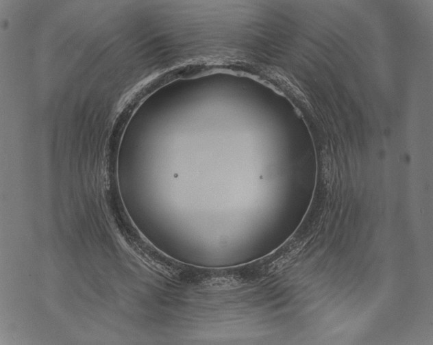 X0000073720536200608241234