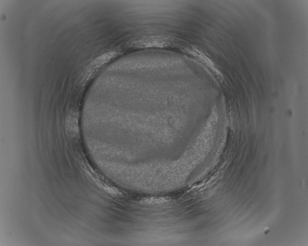 X0000073720537200608241234