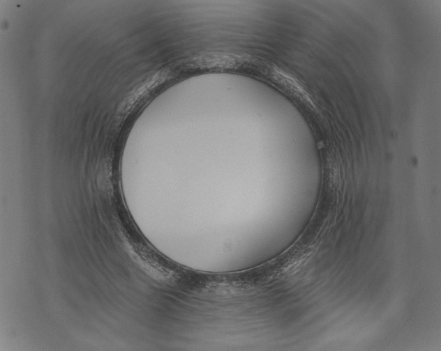 X0000073720538200608241234