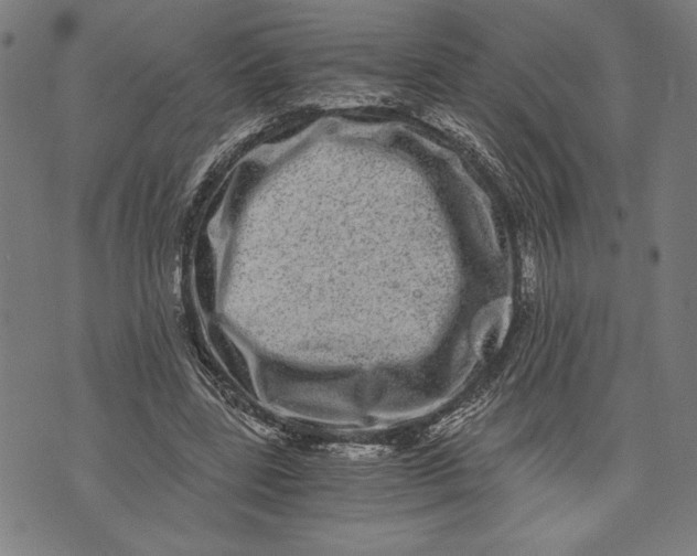 X0000073720539200608241234