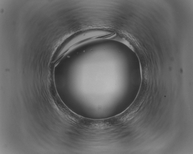 X0000073720540200608241234