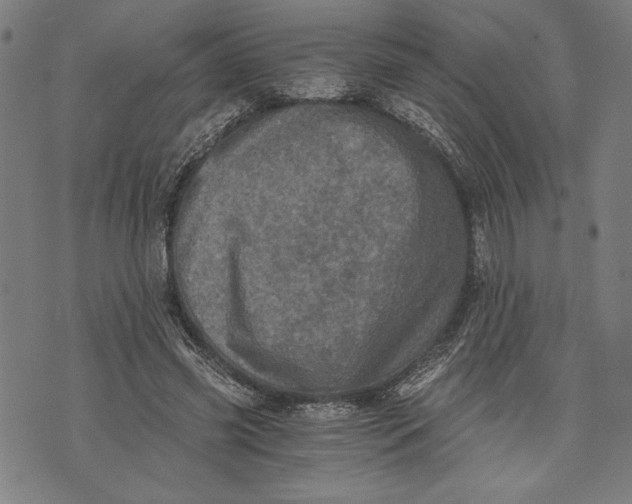 X0000073720541200608241234