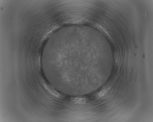 X0000073720542200608241234