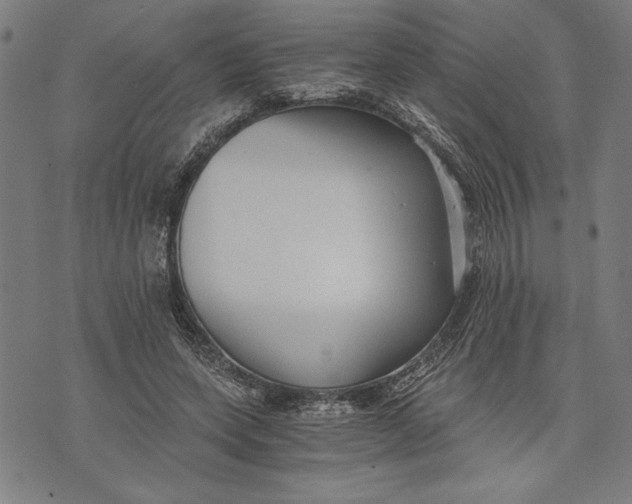 X0000073720543200608241234