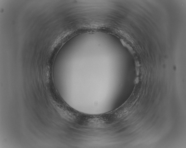 X0000073720544200608241234