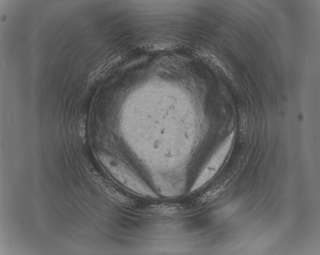 X0000073720545200608241234