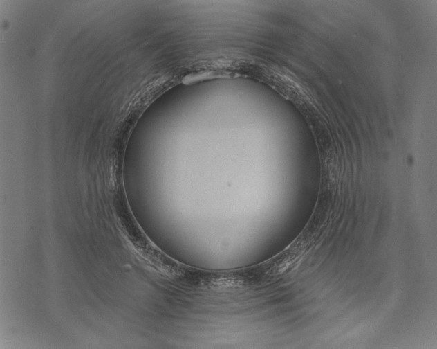 X0000073720546200608241234