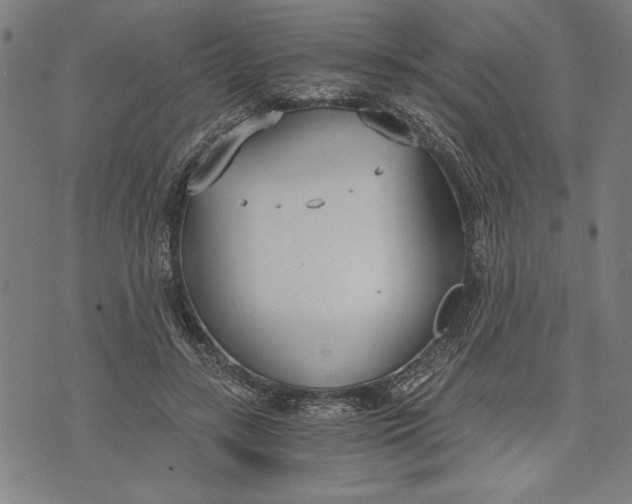 X0000073720547200608241234