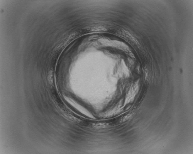 X0000073720549200608241234