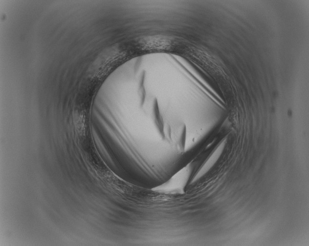 X0000073720551200608241234