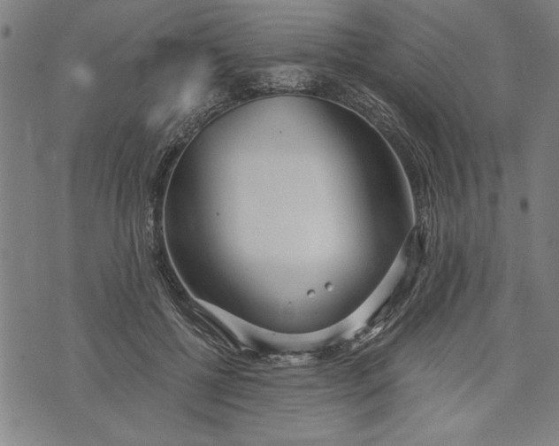 X0000073720552200608241234