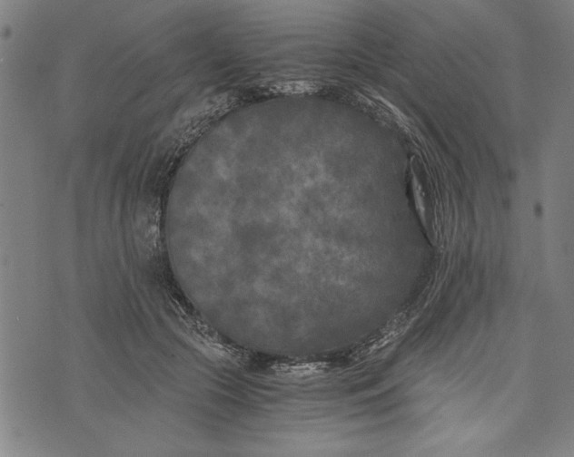 X0000073720553200608241234