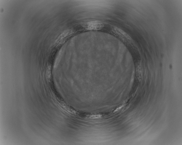 X0000073720554200608241234