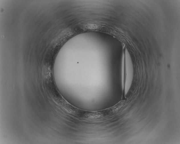 X0000073720555200608241234