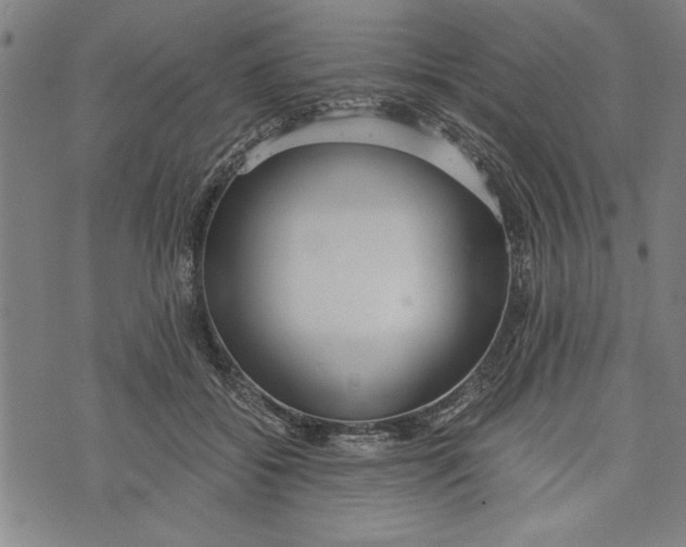 X0000073720556200608241235