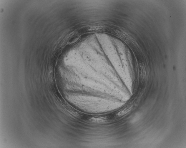 X0000073720557200608241235